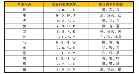 屬龍車牌號碼|十二生肖車牌號碼吉凶對照表